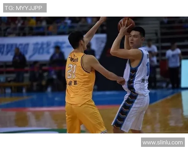 北京羽毛球队个人能力引发热议球员表现与团队战术的深度探讨