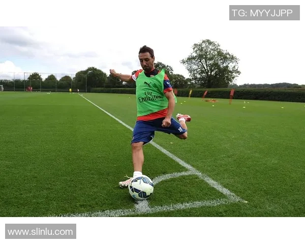 足球明星成功防脱秘笈揭秘让你重拾自信与魅力的护发之道