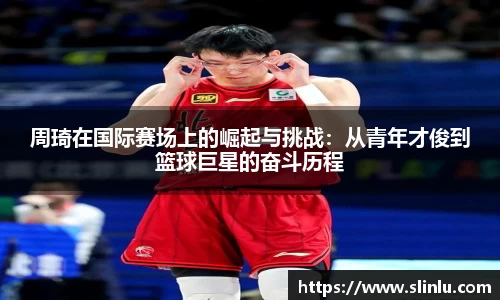 3377体育官网