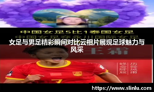 3377体育