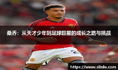 桑乔：从天才少年到足球巨星的成长之路与挑战
