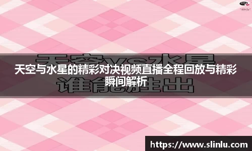 3377体育