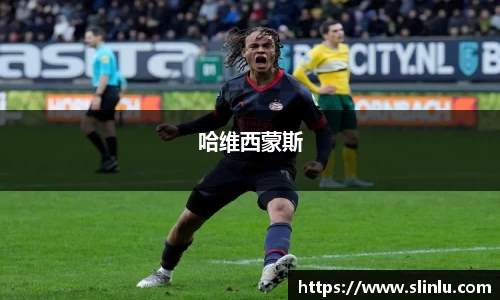 3377体育官网