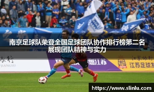 3377体育官网