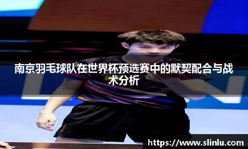 3377体育app